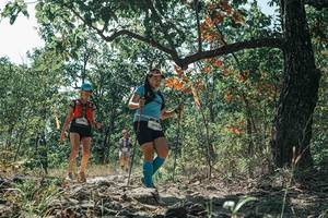 BIB: 
                            <button type="button" onclick="openModal(26113625)" class="btn btn-primary btn-sm float-right btn-popup" data-toggle="modal" data-target=".modal-high-quality">
                        <i class="fas fa-shopping-cart"></i> Add to Cart
                    </button>
                                            <button type="button" onclick="isThisMe(26113625, true)" class="btn btn-success btn-sm float-right btn-popup btn-isme hidden" data-toggle="tooltip" data-placement="bottom" title="นี่คือรูปของคุณใช่ไหม คลิกที่นี่เพื่อเอาเข้าอัลบั้ม">
                        <i class="fas fa-plus"></i> Add to album
                    </button>
                    <button type="button" onclick="isThisMe(26113625, false)" class="btn btn-warning btn-sm float-right btn-popup btn-isnotme hidden">
                        <i class="fas fa-ban"></i> Remove from album
                    </button>